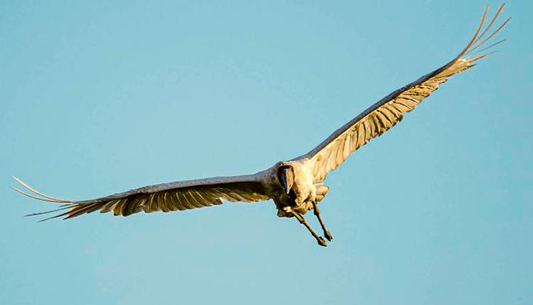 Responsive image1